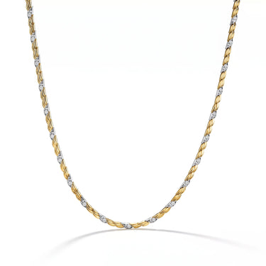 Bird Wings Two Tone Necklace